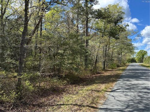 00 Briery Swamp Rd, Jamaica, VA, 23079 | Card Image