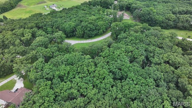 Aerial view of property and surrounding area featuring a forest | Image 11