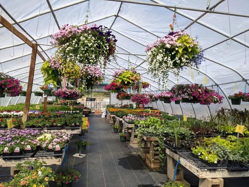 691 State 371 Nw, Backus, MN, 56435-2600 | Card Image