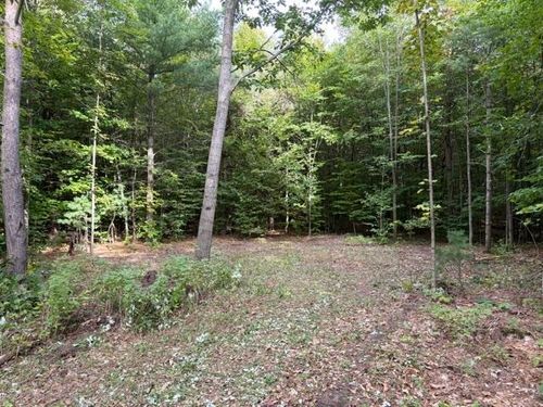 000 Paradise Ridge Trail, Almira Township, MI, 49684 | Card Image