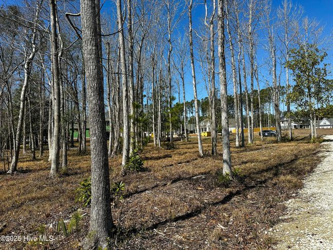 45 Crane Pt, Home with 0 bedrooms, 0 bathrooms and null parking in Hampstead NC | Image 4