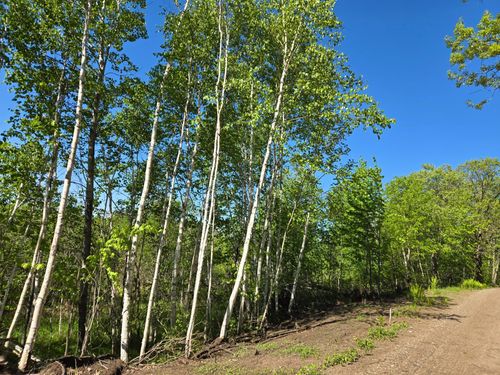 XXXXX 360th Street, Onamia, MN, 56359 | Card Image