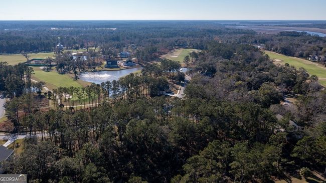 V/L 48 Sanctuary Cove No Street Suffix, Home with 0 bedrooms, 0 bathrooms and null parking in Waverly GA | Image 7