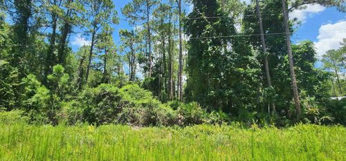 112 Northeast Ter, Georgetown, FL, 32139-2840 | Card Image