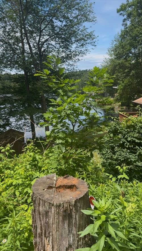 17 Shore Dr, Spencer, MA, 01562-2915 | Card Image