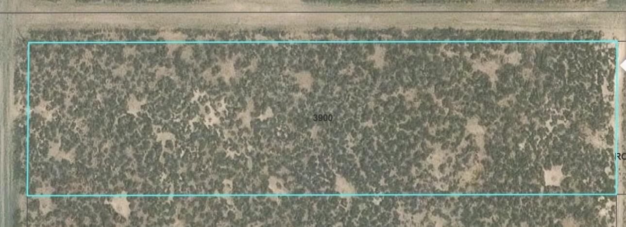 Land in Christmas Valley