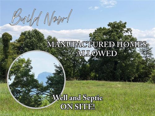166 Springfield Rd, Pilot Mountain, NC, 27041-7139 | Card Image