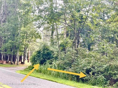 0 Cairo Junction Rd, Catskill, NY, 12414 | Card Image