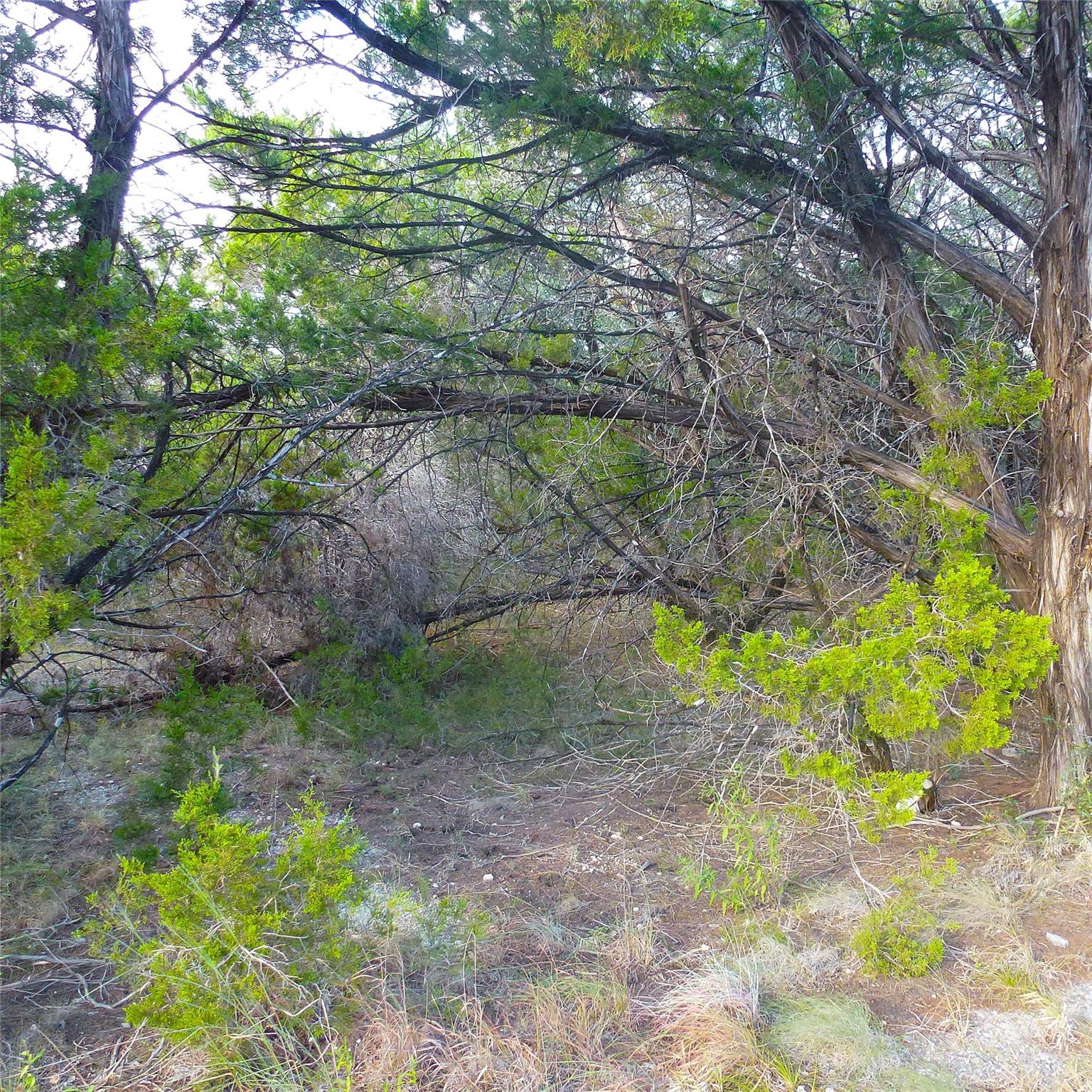 Land in Lago Vista 5