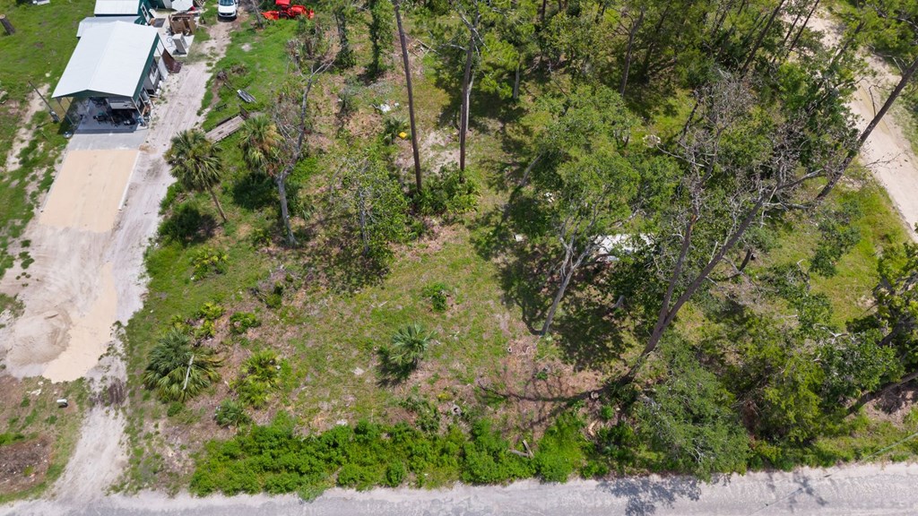 Land in Steinhatchee 4