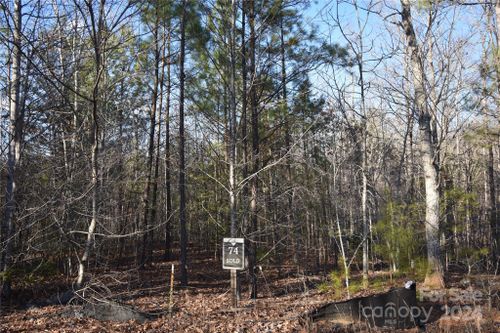 Lot 74 Tayberry Drive, Nebo, NC, 28761 | Card Image