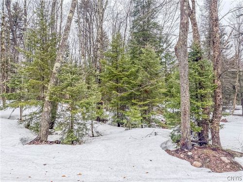 1715 Olin Rd, Lowville, NY, 13367 | Card Image