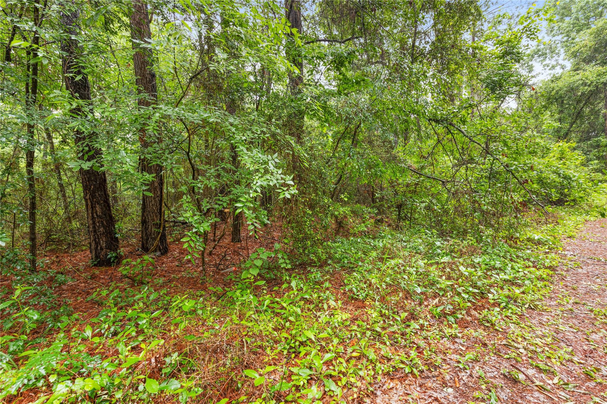 Land in Plantersville