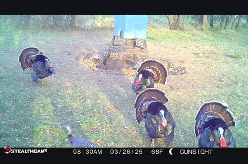 TBD County Road 154, Breckenridge, TX, 76424 | Card Image