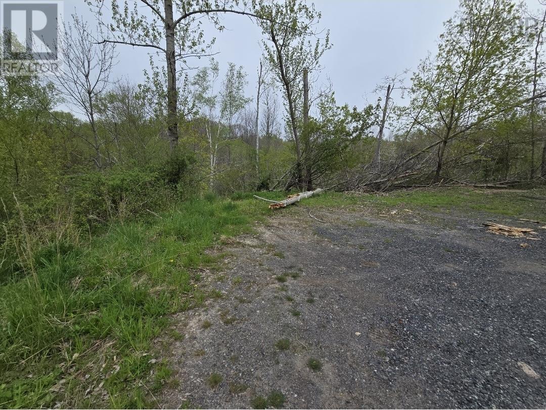 Land in Trenton 4