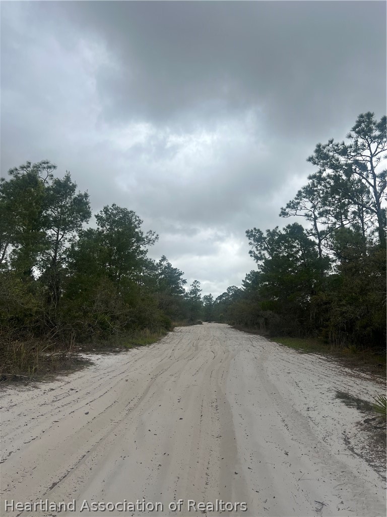 Land in Sebring 2