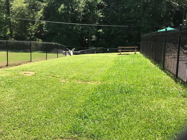 C236 Ogden Dr, Home with 0 bedrooms, 0 bathrooms and null parking in Ellijay GA | Image 5