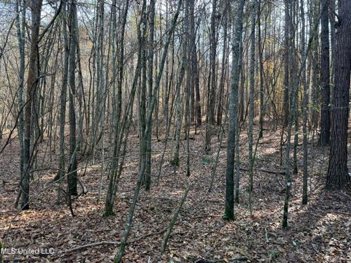 000 Greenland Rd, Little Rock, MS, 39337 | Card Image