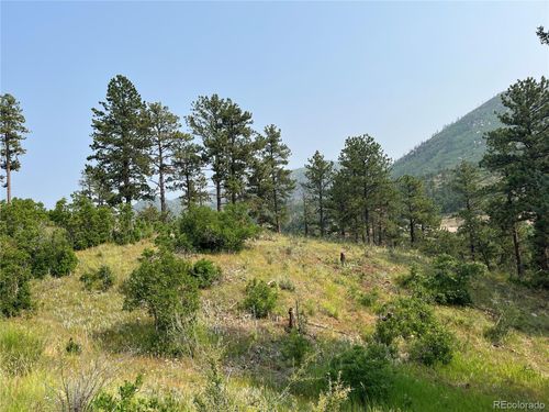 5330 Chipita Pines Dr, Cascade, CO, 80809 | Card Image