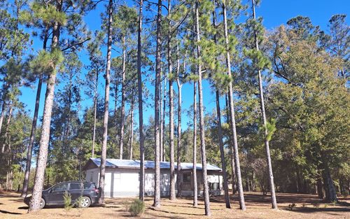 669 Sw Shiloh St, Fort White, FL, 32038-2825 | Card Image