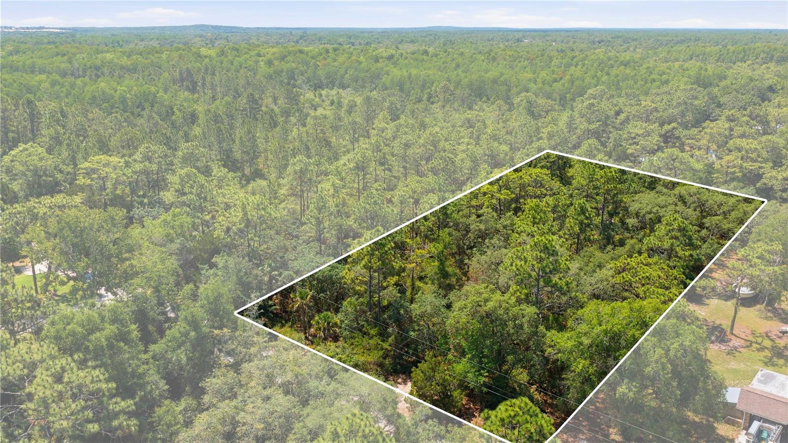 Land in CRYSTAL RIVER