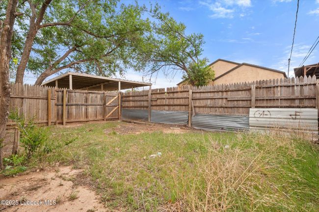 backyard #1 | Image 18