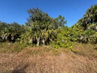 Land in NORTH PORT 4