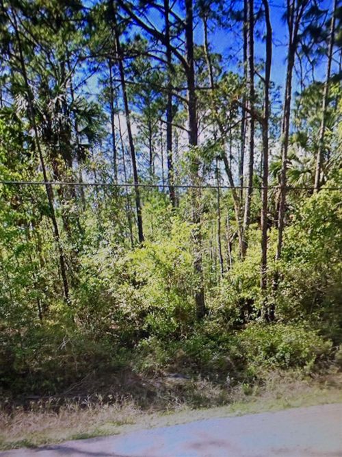 2184 Laure Avenue, Other Florida, FL, 32110 | Card Image