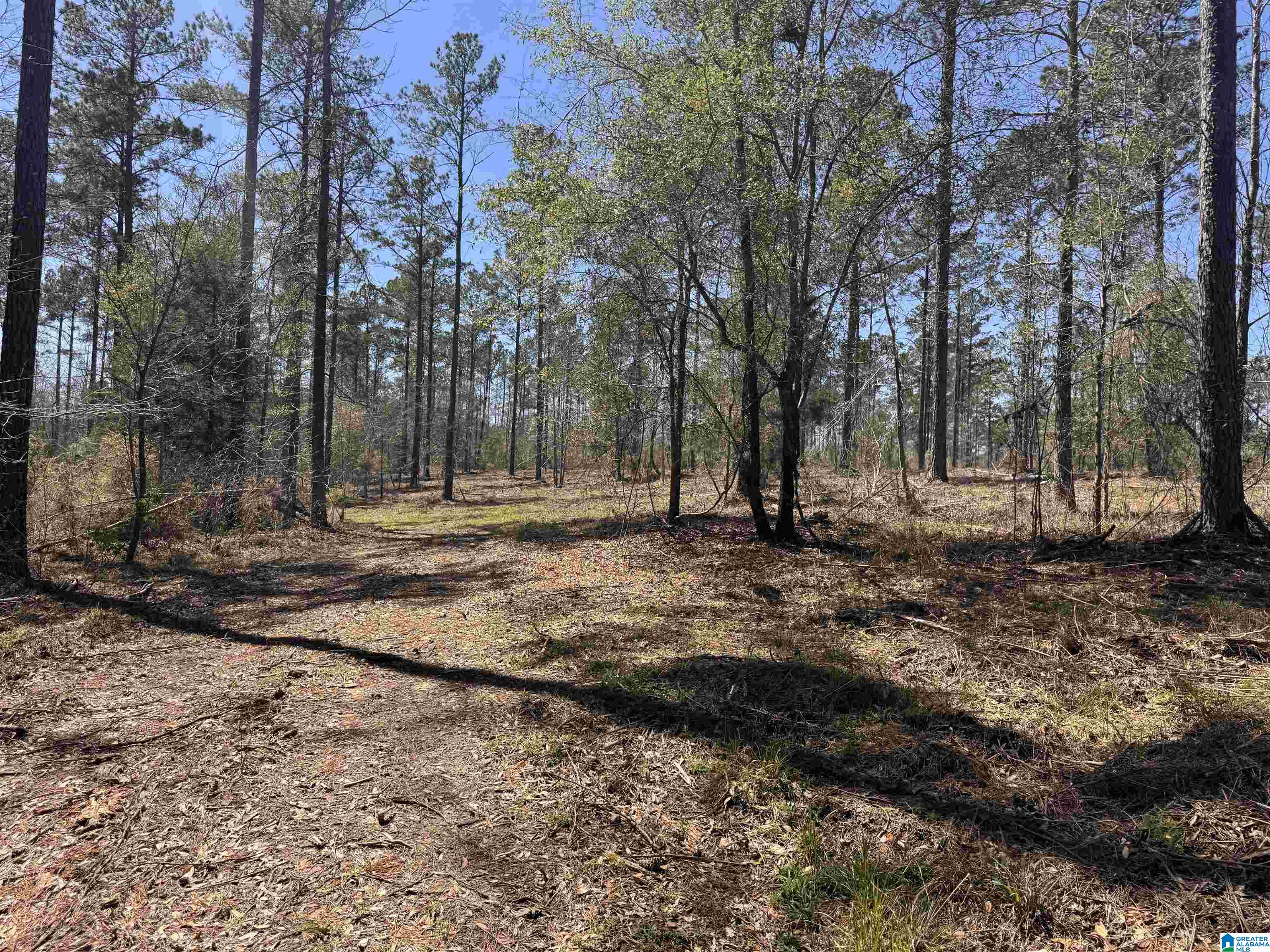 Land in NORTHPORT 4
