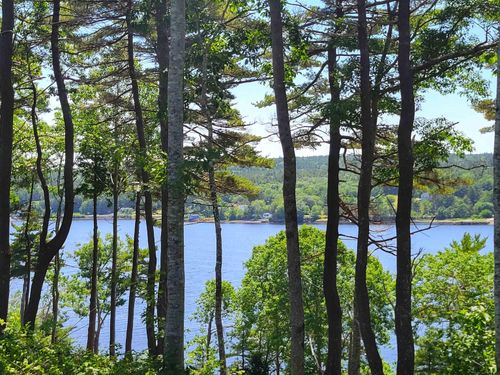 Lot 7 Wilkie Cove Road, Middle Lahave, NS, B4V2Z2 | Card Image