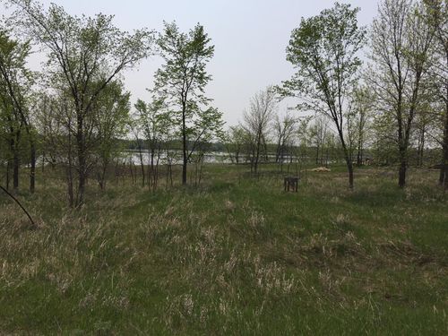 27XX Louise Dr Nw, Alexandria, MN, 56308 | Card Image