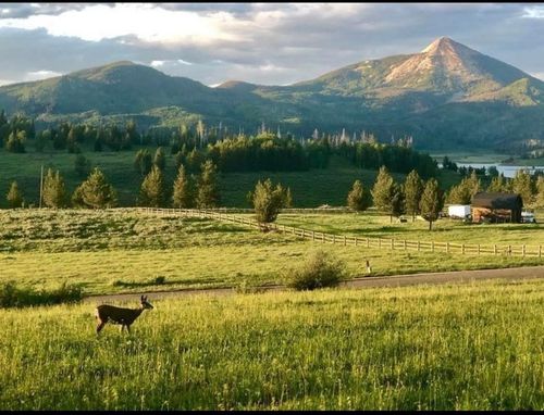 23463 County Road 62, Clark, CO, 80428 | Card Image