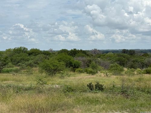 TBD Fm 2102, Kenedy, TX, 78119 | Card Image