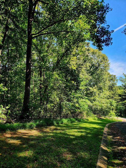 0 Old Highway 28, Dunlap, TN, 37327 | Card Image