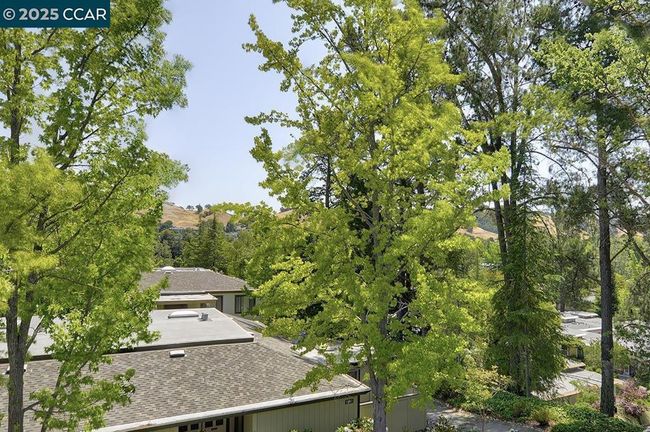 APT-5 - 1217 Running Springs Rd, Condo with 2 bedrooms, 1 bathrooms and 1 parking in Walnut Creek CA | Image 16