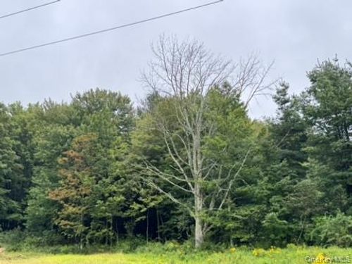 480 Cr 131, Fremont, NY,  | Card Image