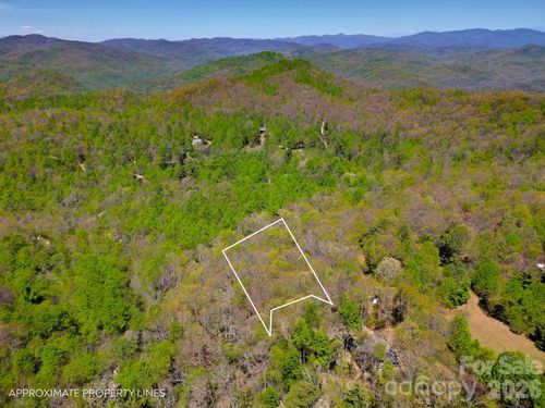 99999 Laurel Drive, Black Mountain, NC, 28711 | Card Image