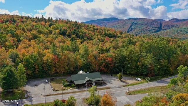 3195 State Route 28, North Creek, NY 12853