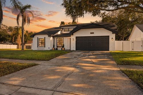 12202 Wildbrook Dr, RIVERVIEW, FL, 33569-4110 | Card Image