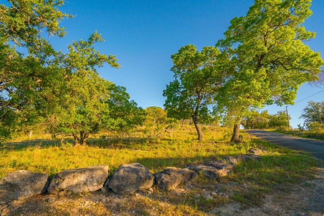 View of landscape | Image 34
