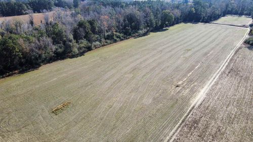 TBD Highway 917, Nichols, SC, 29581 | Card Image