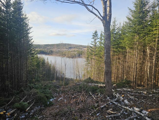138 Grand Mira South Rd, House other with 3 bedrooms, 1 bathrooms and null parking in Marion Bridge NS | Image 15
