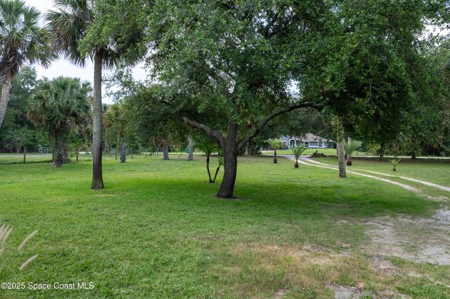 front yard from house | Image 7