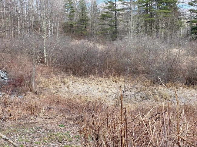 235 Blissville Rd, House other with 1 bedrooms, 1 bathrooms and null parking in Castleton VT | Image 40