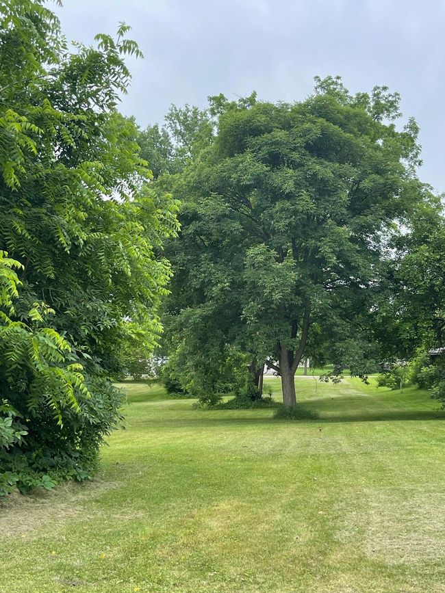 Lake St View | Image 9