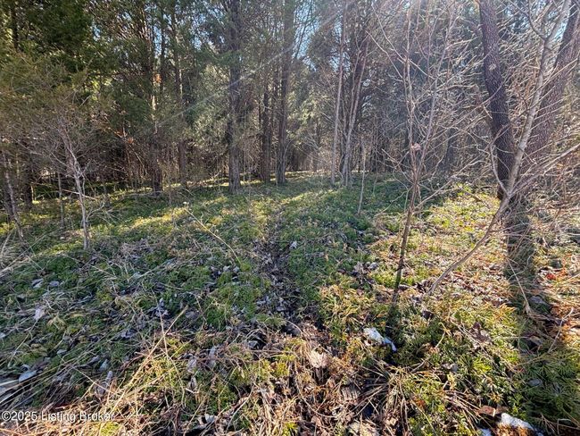 2701 Hardesty Raymond Rd, Home with 0 bedrooms, 0 bathrooms and null parking in Webster KY | Image 34