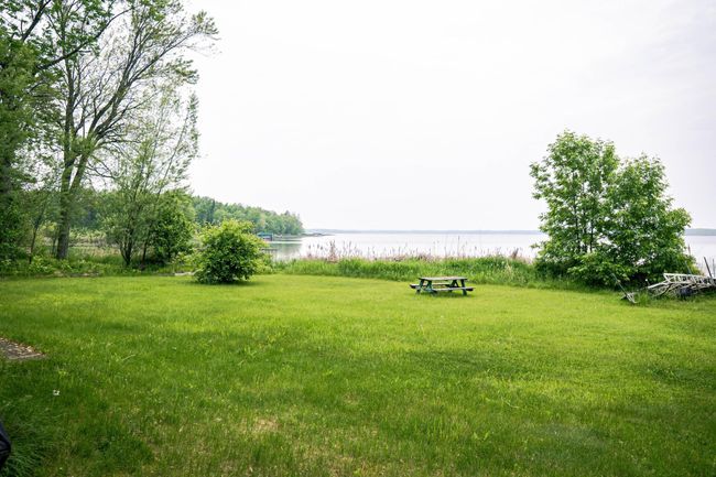 Yard.jpg | Image 20
