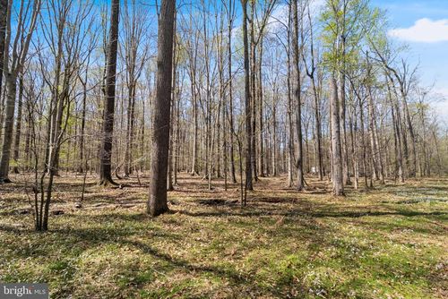 Lot 14 Middletown Rd, WHITE PLAINS, MD, 20695 | Card Image