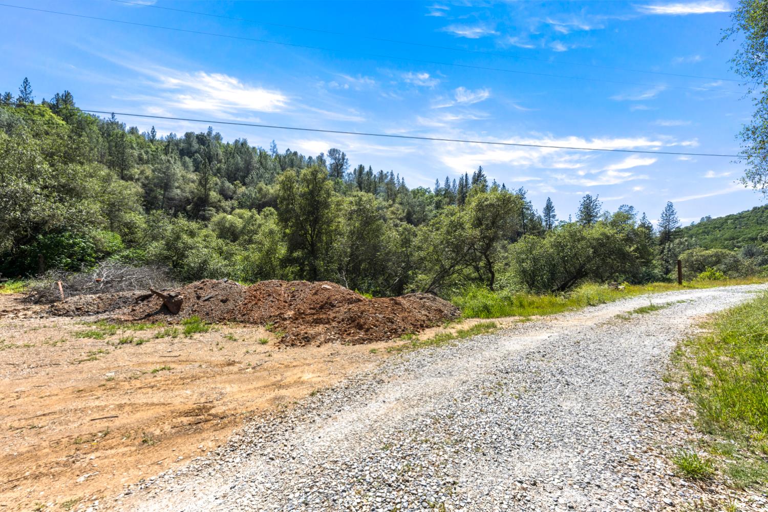 Land in Shingle Springs 3