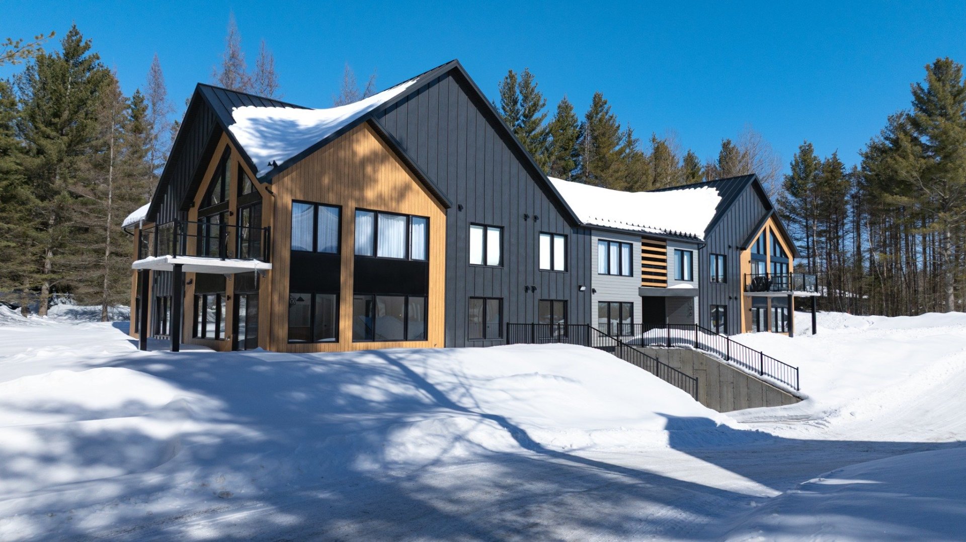 Other in Magog 4